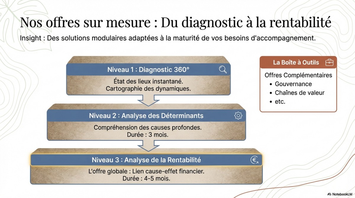 Nos offres sur mesure : Du diagnostic à la rentabilité