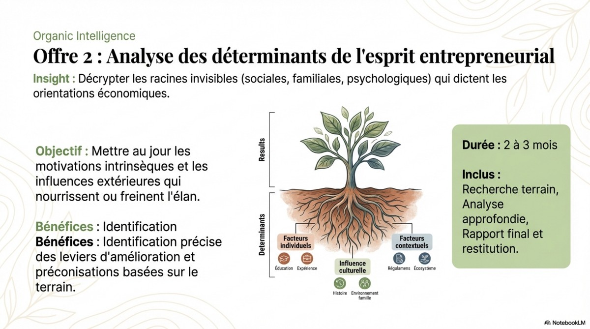 Offre 2 : Analyse des déterminants de l'esprit entrepreneurial